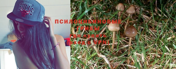 первитин Белокуриха
