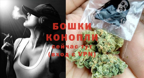 PSILOCYBIN Беломорск