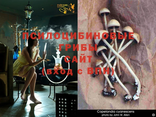 мяу мяу кристалл Белоозёрский